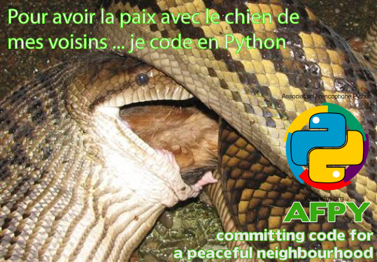 AFPY : safe python coding for anyone except …