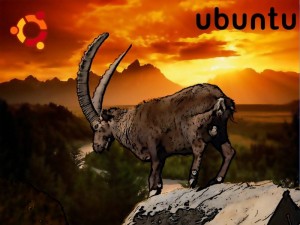 ubuntu intrepid ibex