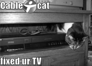 lolcat-cable
